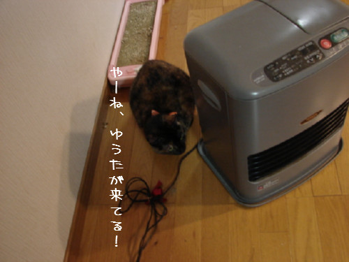 豆まき_d0355333_14060107.jpg