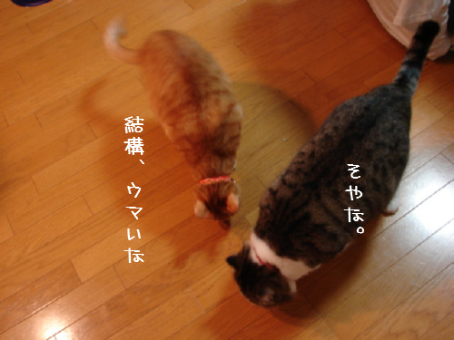 豆まき_d0355333_14060122.jpg