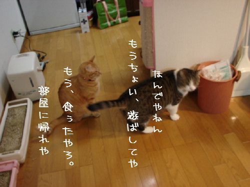 豆まき_d0355333_14060123.jpg
