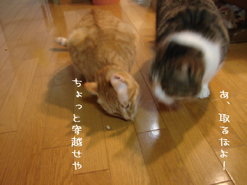 豆まき_d0355333_14060136.jpg