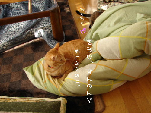 テコでも動かん_d0355333_14060214.jpg