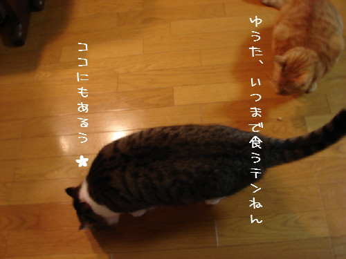 豆まき_d0355333_14060234.jpg