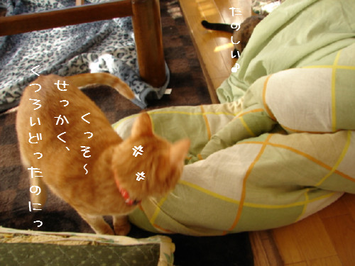 テコでも動かん_d0355333_14060251.jpg