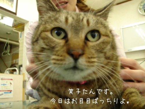 FIPって難しい_d0355333_14060338.jpg