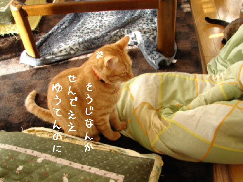 テコでも動かん_d0355333_14060343.jpg