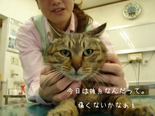 FIPって難しい_d0355333_14060348.jpg
