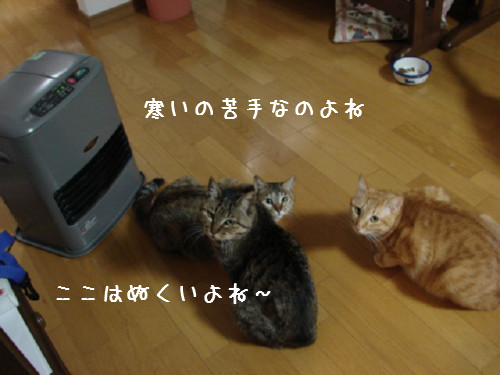 寒いね、、_d0355333_14062238.jpg