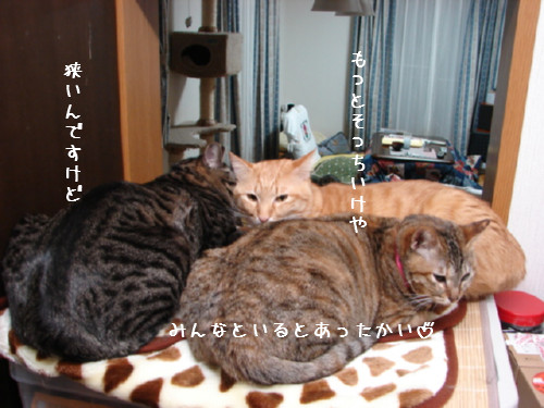 狭いトコに_d0355333_14062397.jpg