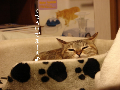 夜11時半すぎ・・・_d0355333_14062959.jpg