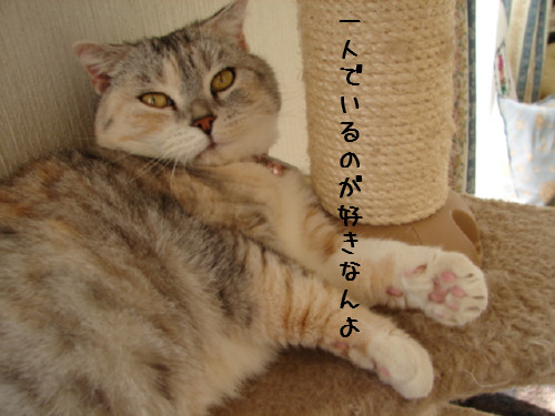 魔法使いマミー_d0355333_14062976.jpg