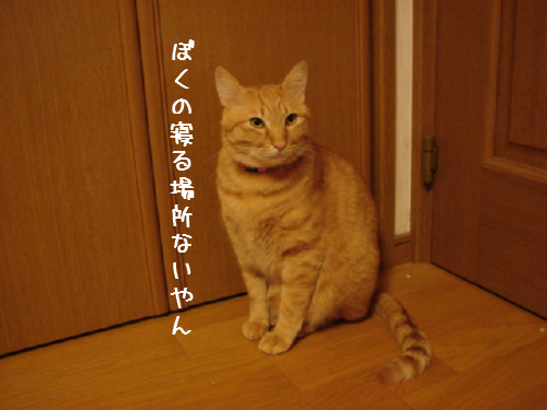 夜11時半すぎ・・・_d0355333_14063025.jpg