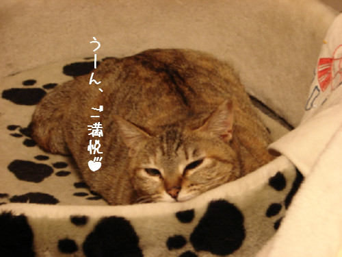 夜11時半すぎ・・・_d0355333_14063042.jpg