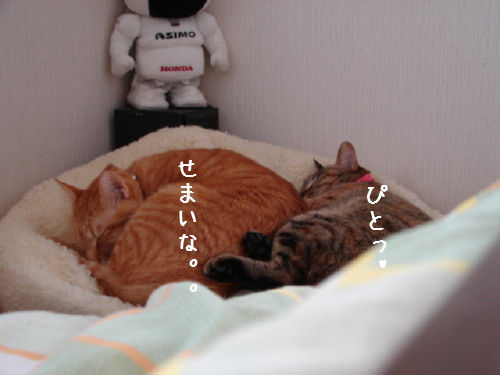 ご近所の底力_d0355333_14063102.jpg
