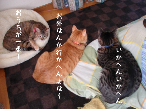 ご近所の底力_d0355333_14063113.jpg