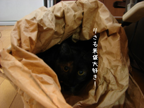 米袋_d0355333_14063252.jpg