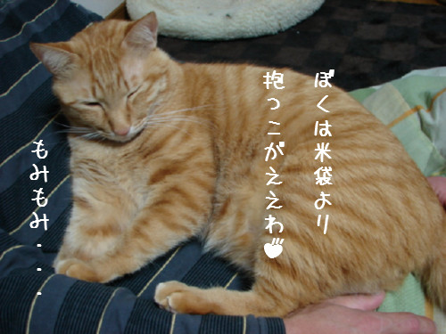 米袋_d0355333_14063256.jpg