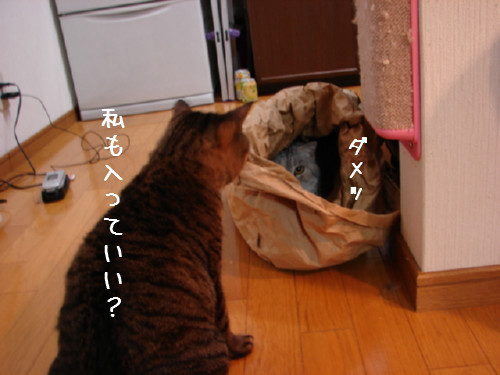米袋_d0355333_14063274.jpg