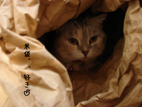 米袋_d0355333_14063276.jpg