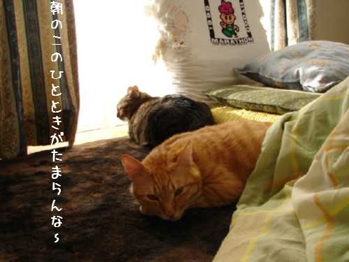 さぁて掃除するで!_d0355333_14063285.jpg