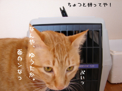 ゆうたのお部屋掃除その1_d0355333_14063357.jpg