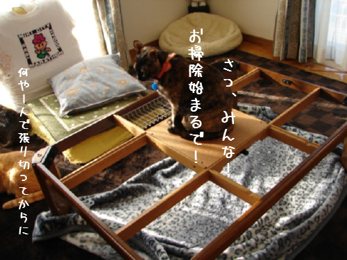 さぁて掃除するで!_d0355333_14063394.jpg