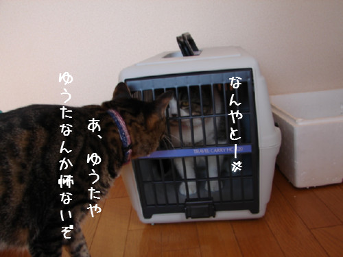 ゆうたのお部屋掃除その1_d0355333_14063409.jpg