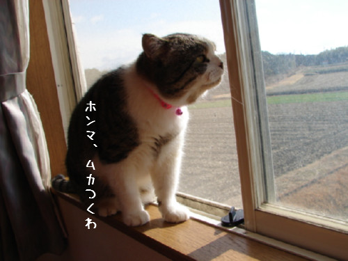 ゆうたのお部屋掃除その4_d0355333_14063793.jpg