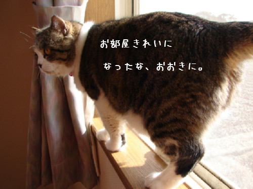 ゆうたのお部屋掃除その4_d0355333_14063794.jpg