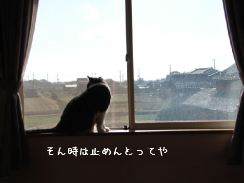 ゆうたのお部屋掃除その4_d0355333_14063858.jpg