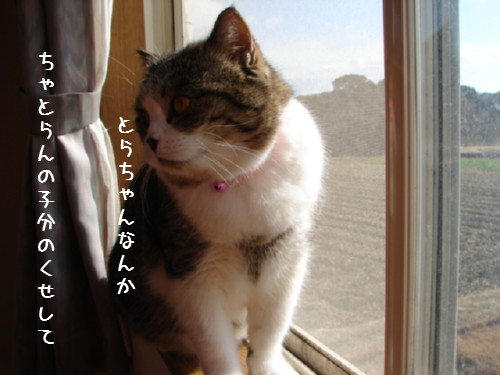 ゆうたのお部屋掃除その4_d0355333_14063876.jpg