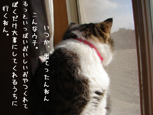 ゆうたのお部屋掃除その4_d0355333_14063894.jpg