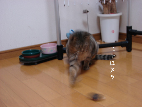 素敵なプレゼントとお客さま_d0355333_14063940.jpg