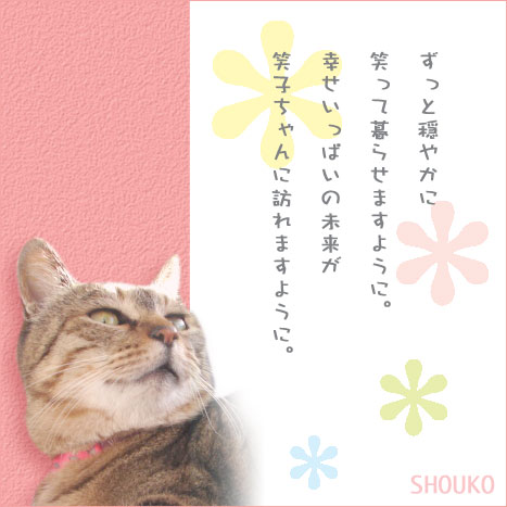 素敵なバナー_d0355333_14064057.jpg
