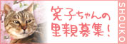 素敵なバナー_d0355333_14064060.jpg