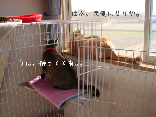 笑子ちゃんの休日_d0355333_14064291.jpg