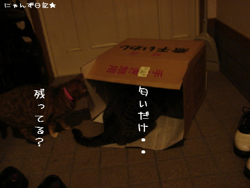 祭りのあと・・・_d0355333_14080705.jpg