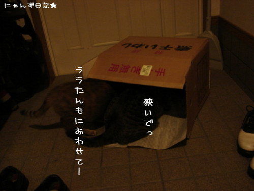 祭りのあと・・・_d0355333_14080709.jpg