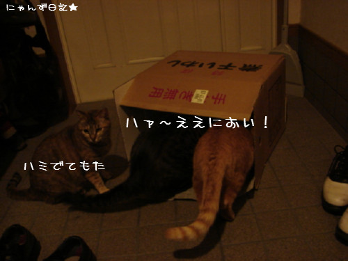 祭りのあと・・・_d0355333_14080723.jpg