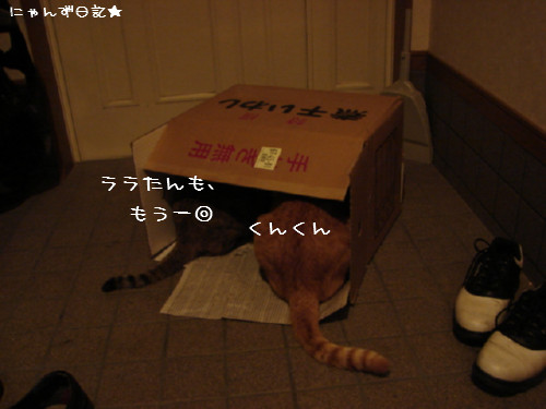 祭りのあと・・・_d0355333_14080734.jpg