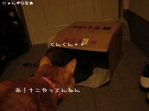 祭りのあと・・・_d0355333_14080751.jpg