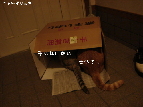 祭りのあと・・・_d0355333_14080840.jpg