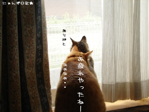 台風一過_d0355333_14081342.jpg