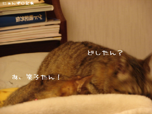 寒い夜は・・_d0355333_14081746.jpg