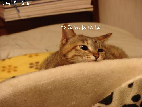 寒い夜は・・_d0355333_14081782.jpg