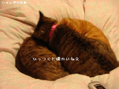 寒い夜は・・_d0355333_14081833.jpg