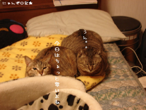 寒い夜は・・_d0355333_14081857.jpg