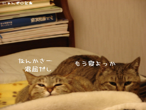 寒い夜は・・_d0355333_14081892.jpg