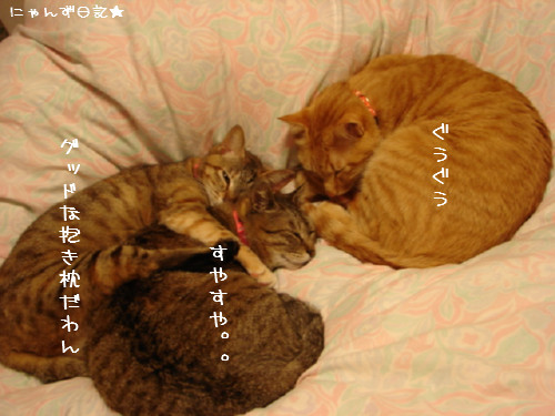 寒い夜は・・_d0355333_14081977.jpg
