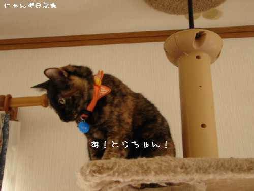 名札のススメ_d0355333_14082807.jpg