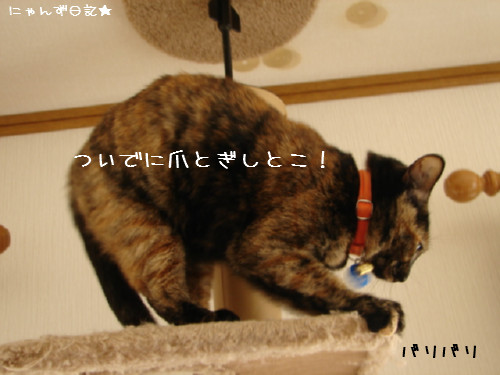 名札のススメ_d0355333_14082832.jpg